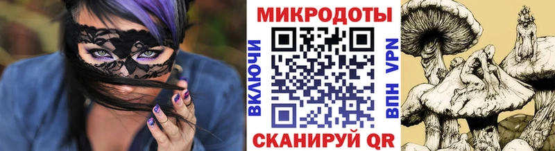 Псилоцибиновые грибы Psilocybe  что такое   Северобайкальск 