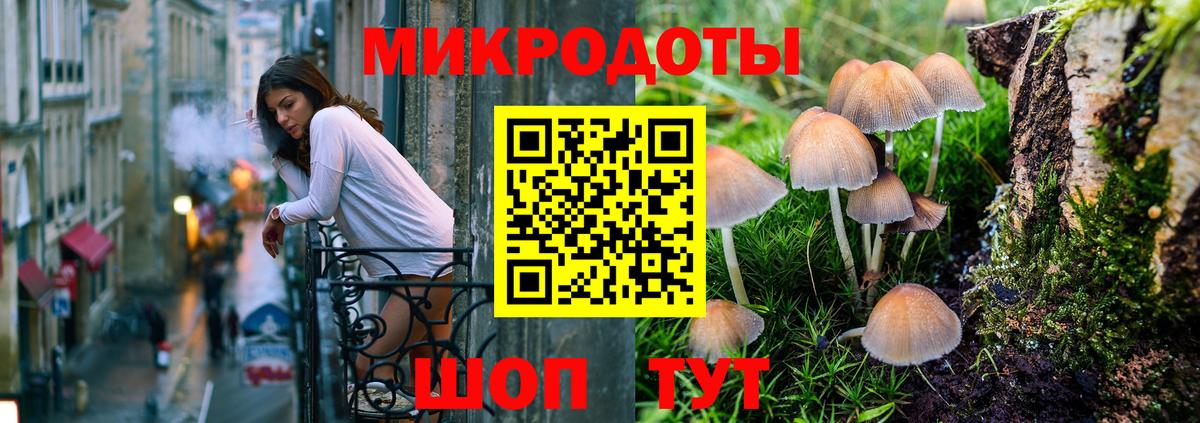 Северобайкальск  Галлюциногенные грибы мицелий  Псилоцибиновые грибы мицелий  Вход с VPN 