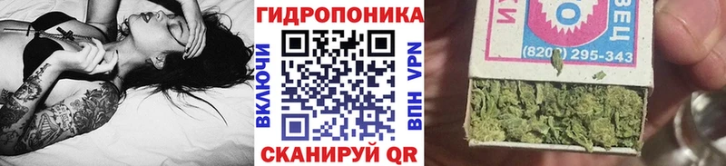 МАРИХУАНА SATIVA & INDICA  kraken сайт  Северобайкальск 